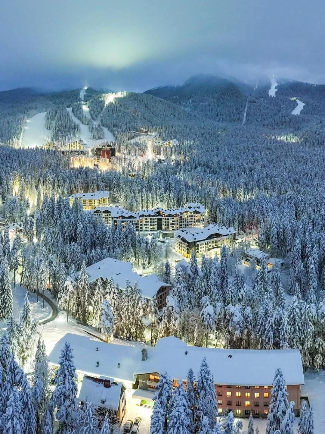 Magri Luxurious A42 Gardens *